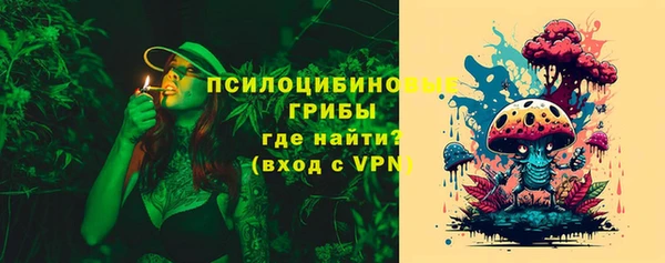 МДПВ Кодинск