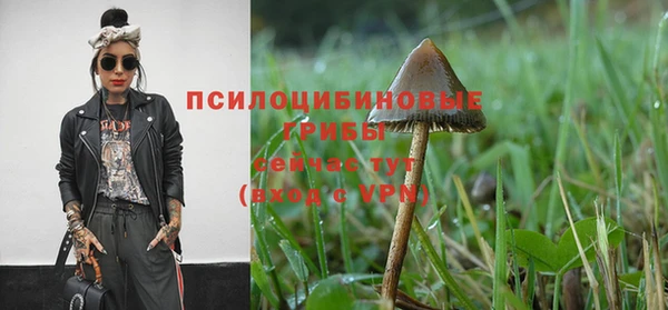 соль ск Абаза