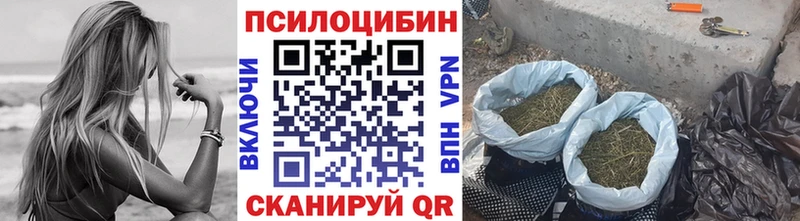 OMG   Красавино  Псилоцибиновые грибы GOLDEN TEACHER 